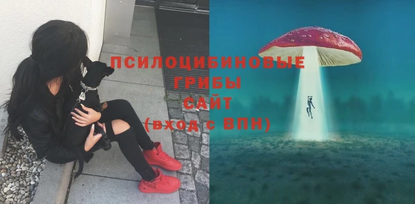 МДПВ Армянск