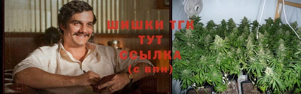 прущие крисы Арсеньев