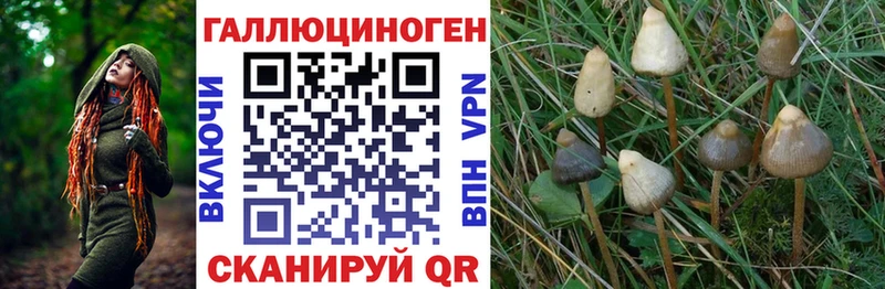 Галлюциногенные грибы Magic Shrooms  Изобильный 